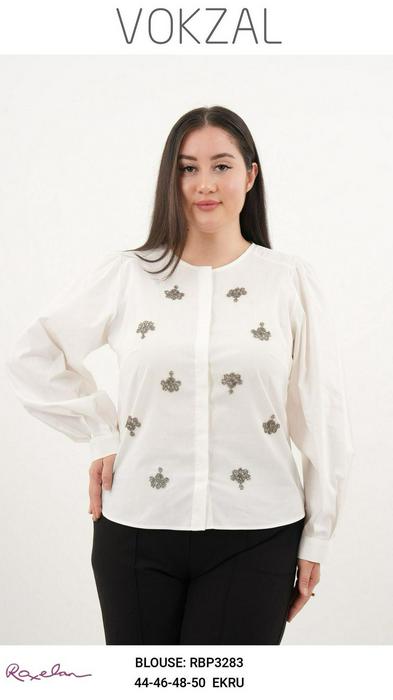 Plus Size Blouses 1559364