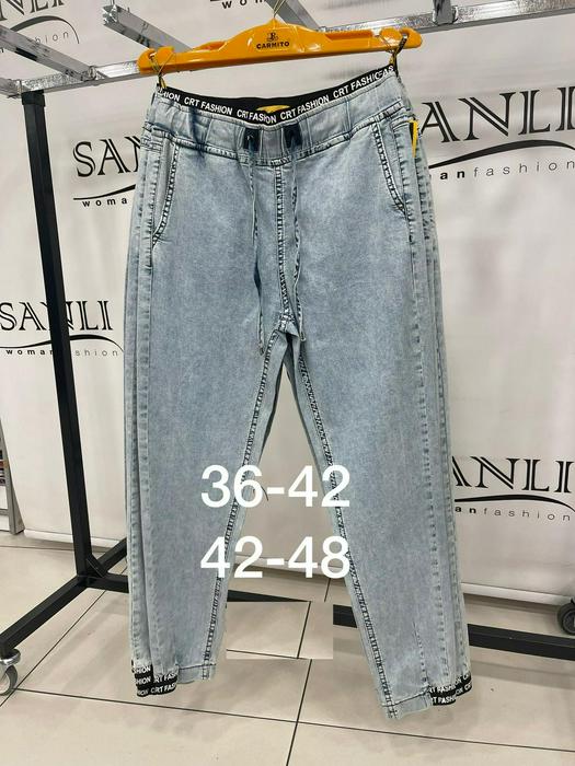 Plus Size Jeans 1179102